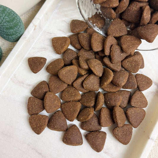 Duck & Superfood Bites