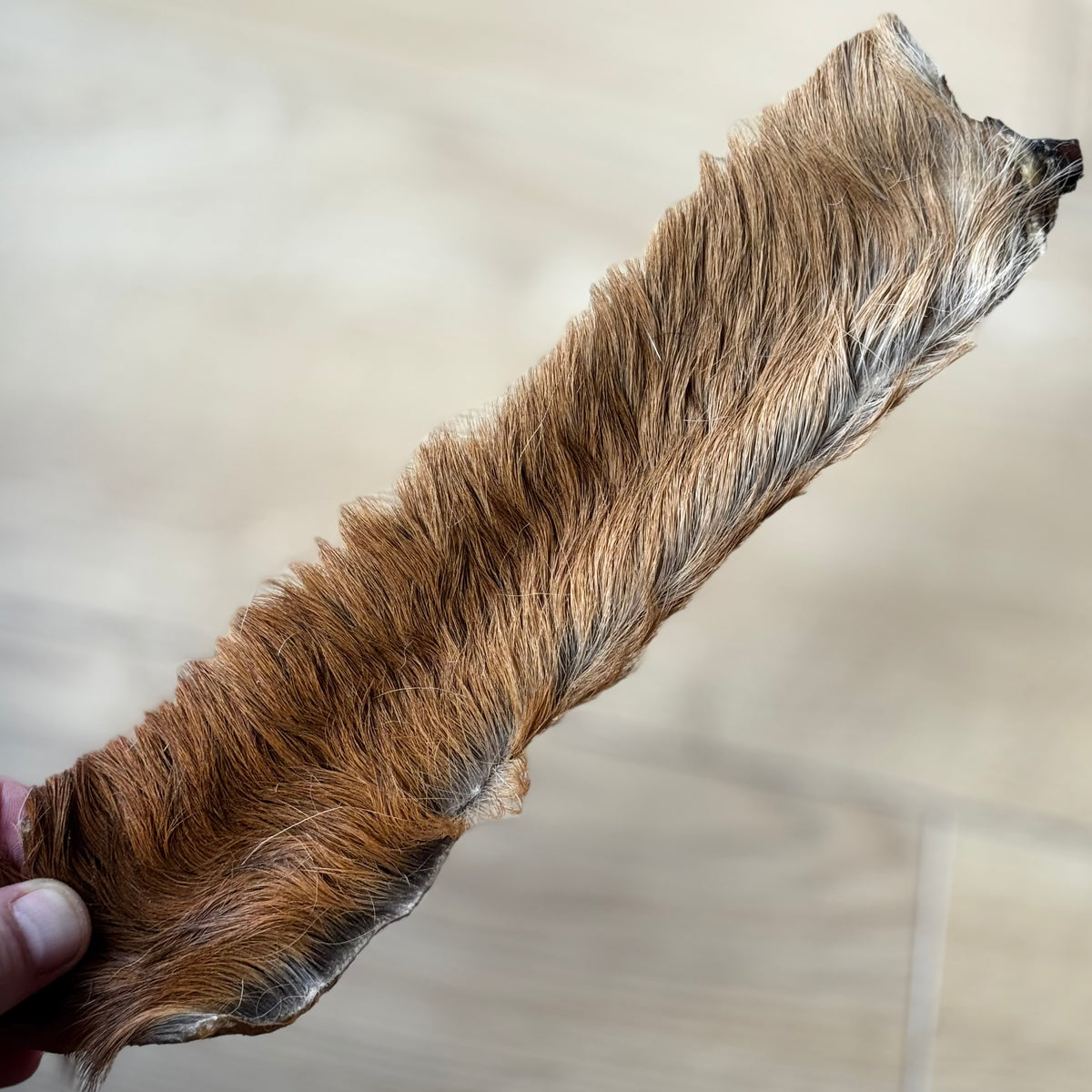 Hairy Red Deer Stick
