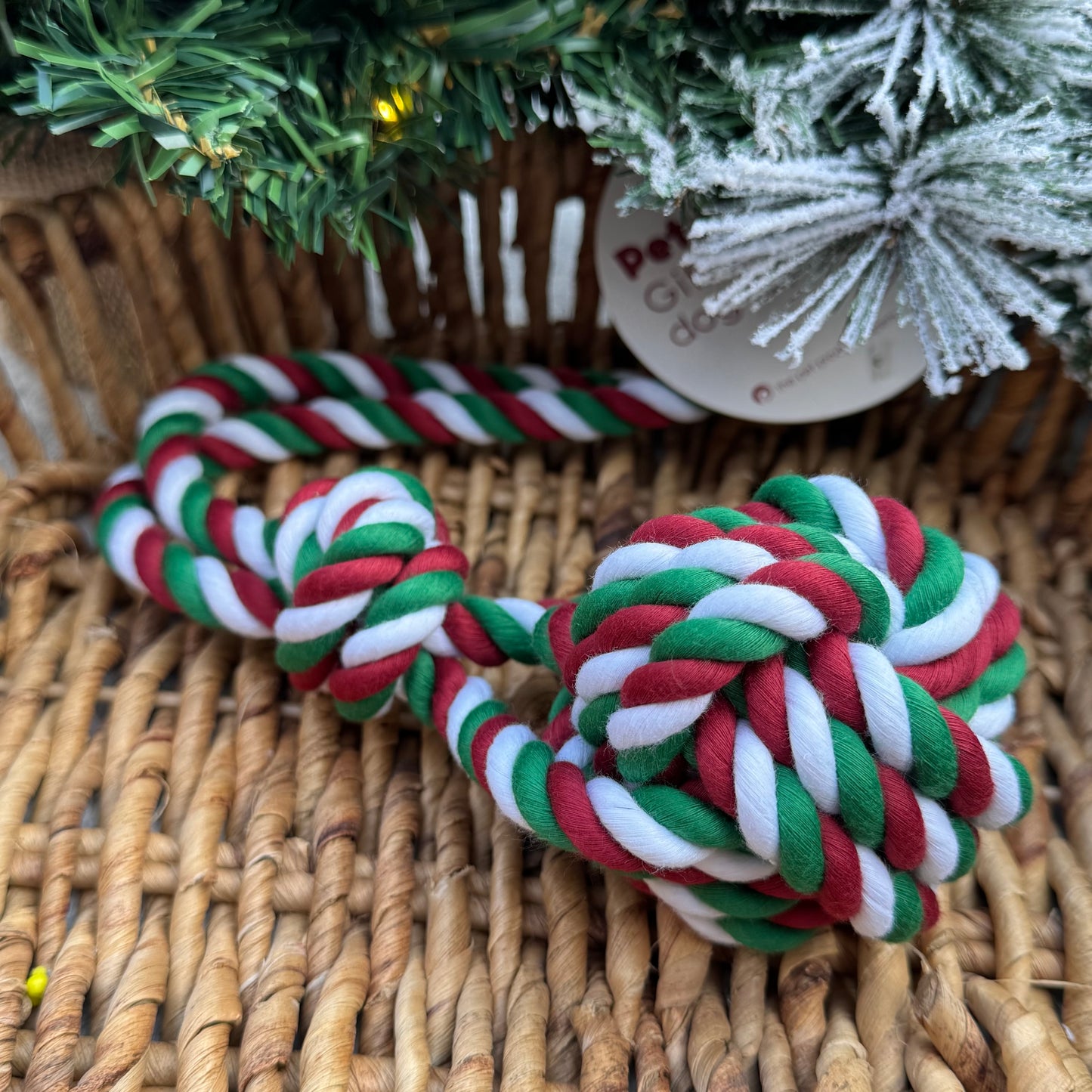 Tri-Coloured Rope Ball with Handle | Christmas Dog Toy