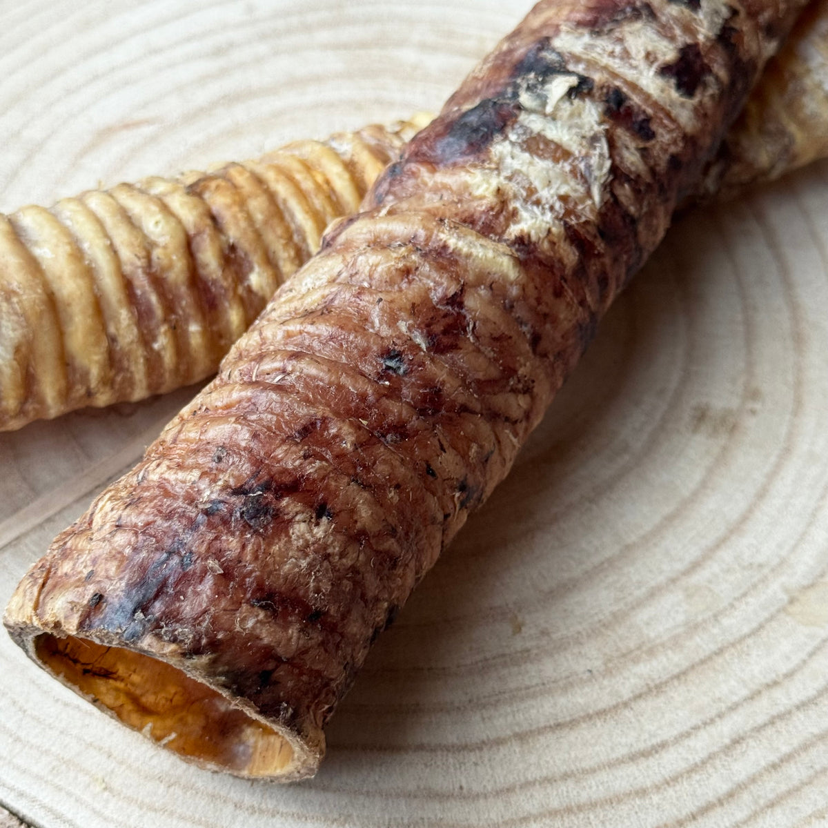 Buffalo Trachea