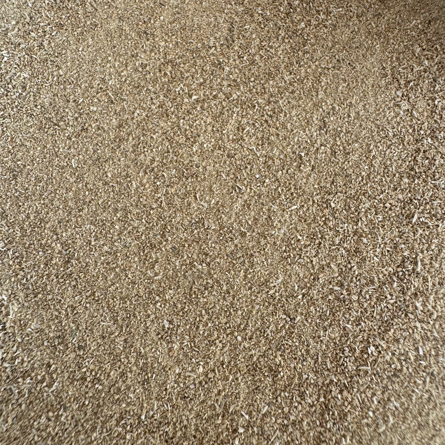 Green Lipped Mussel Powder