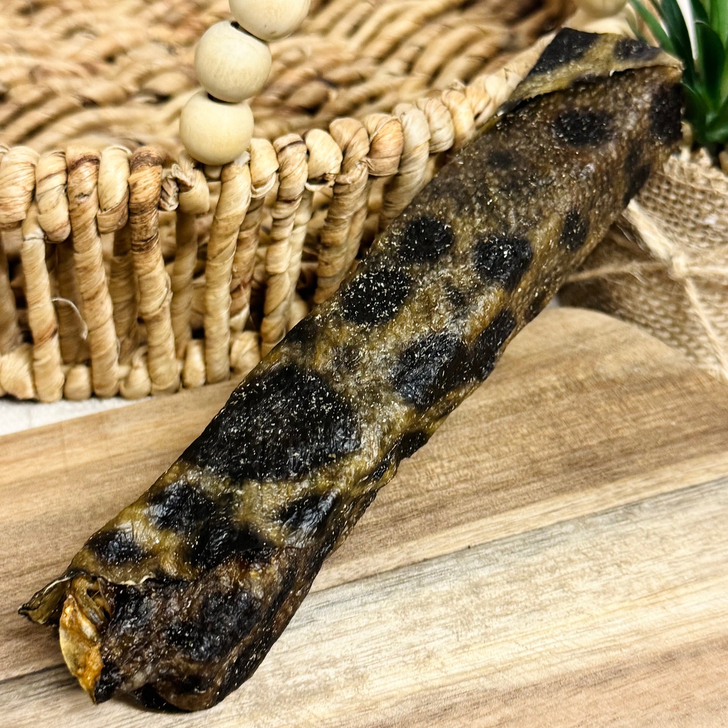 Large Wolf Fish Stick
