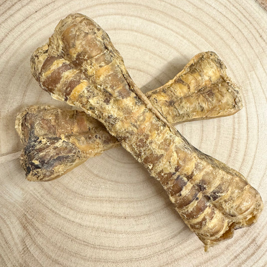 Buffalo Trachea Bone