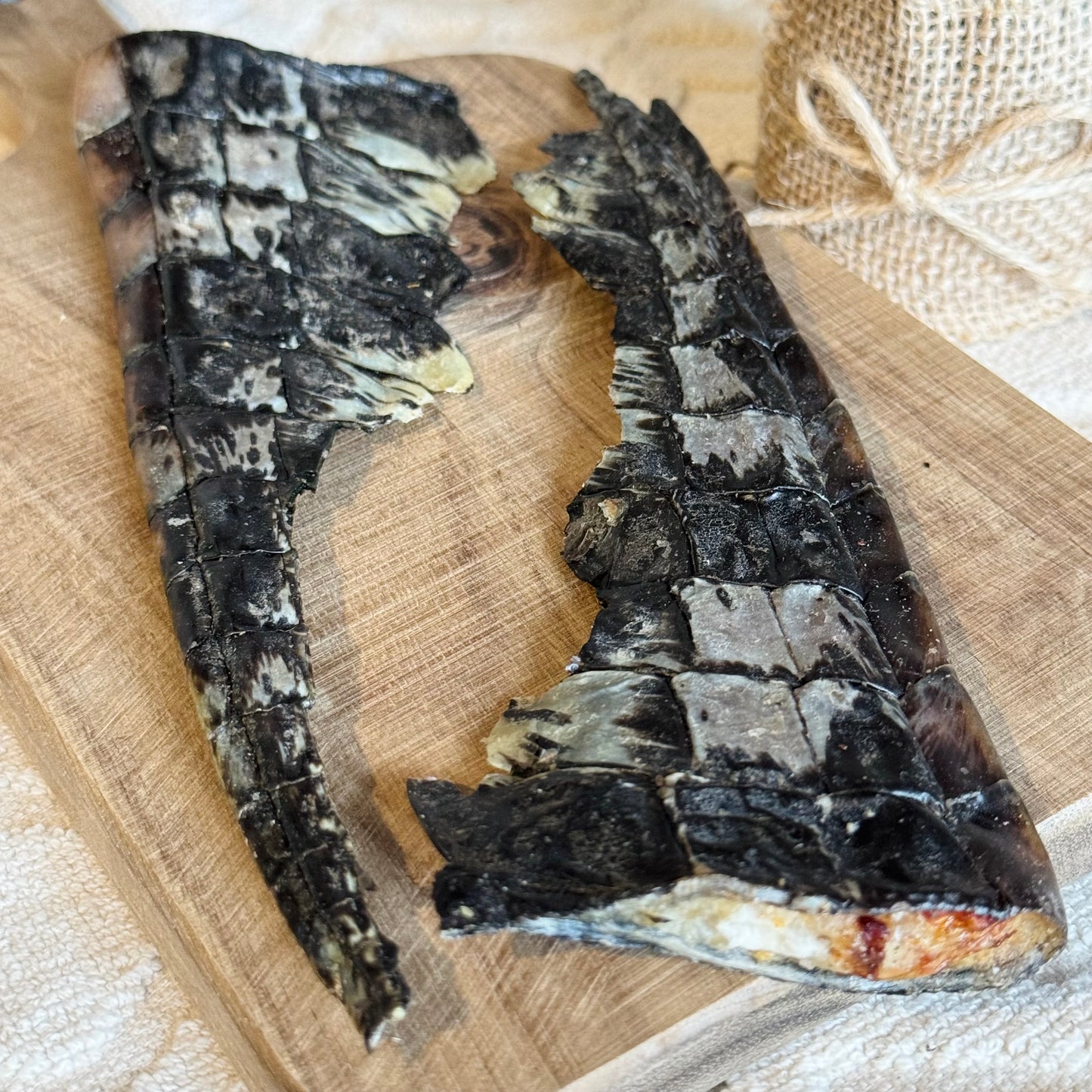 Crocodile Tail Pieces
