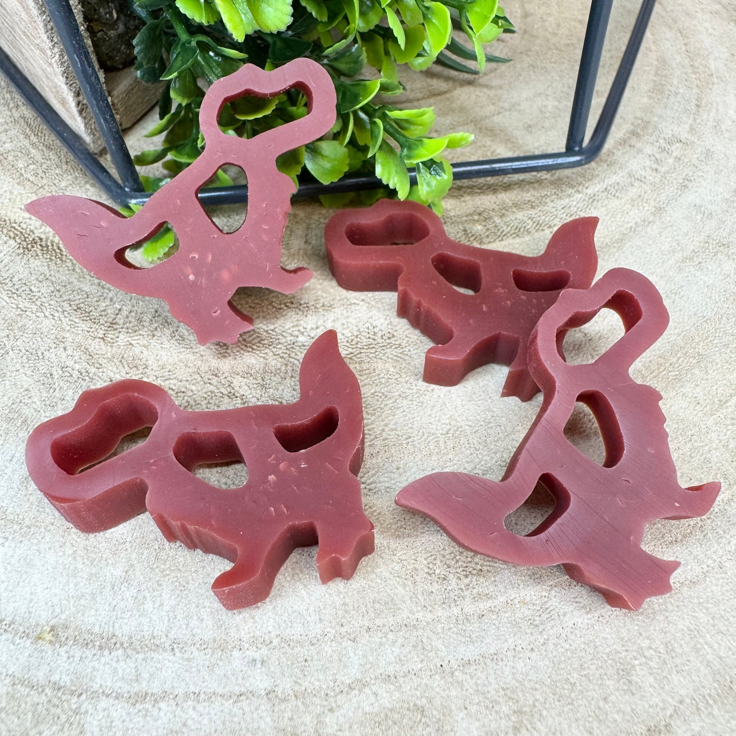 Chicken & Cranberry Dinky Dinos