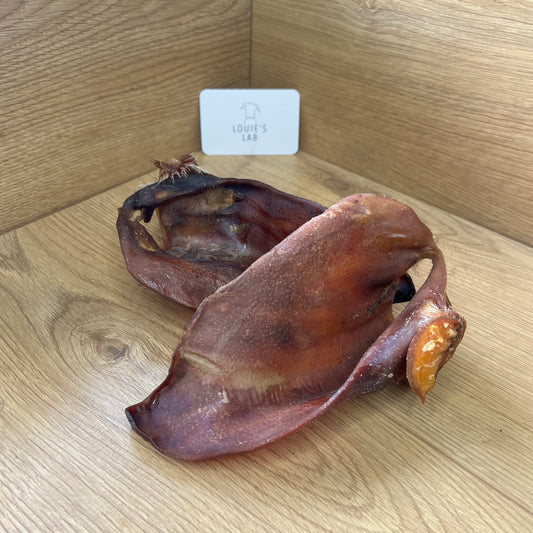 Large Pig Ears