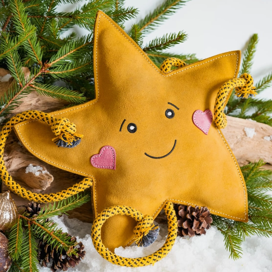 Aurora the XL Christmas Star | Eco Dog Toy