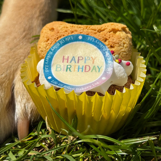 Happy Birthday Pupcake