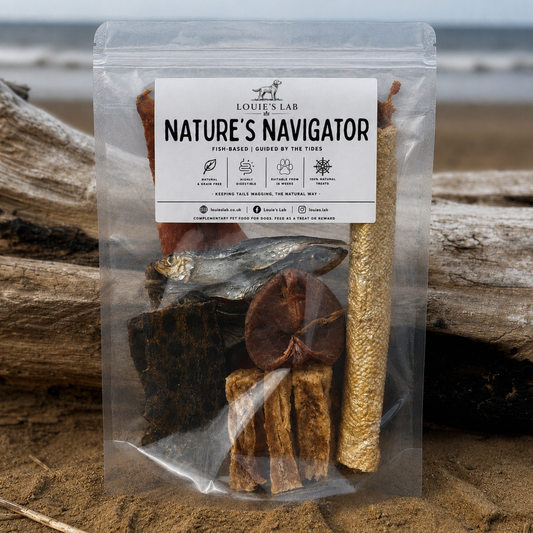 Nature's Navigator | Guided By The Tides