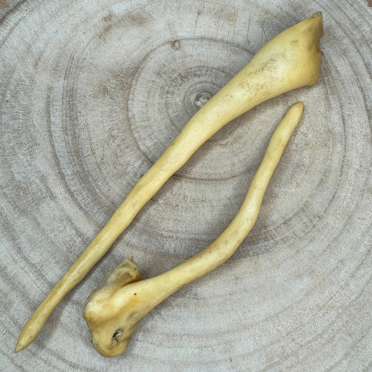 Lamb Tails