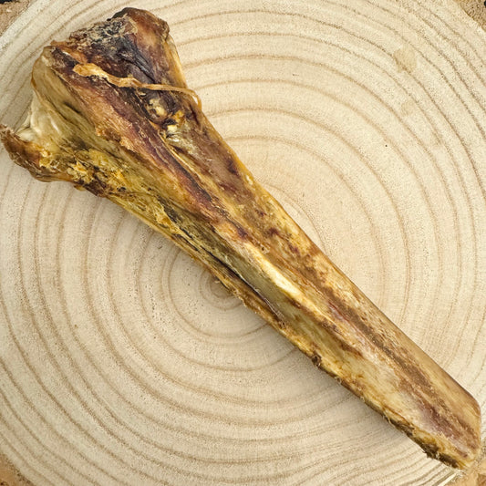 Ostrich Bone