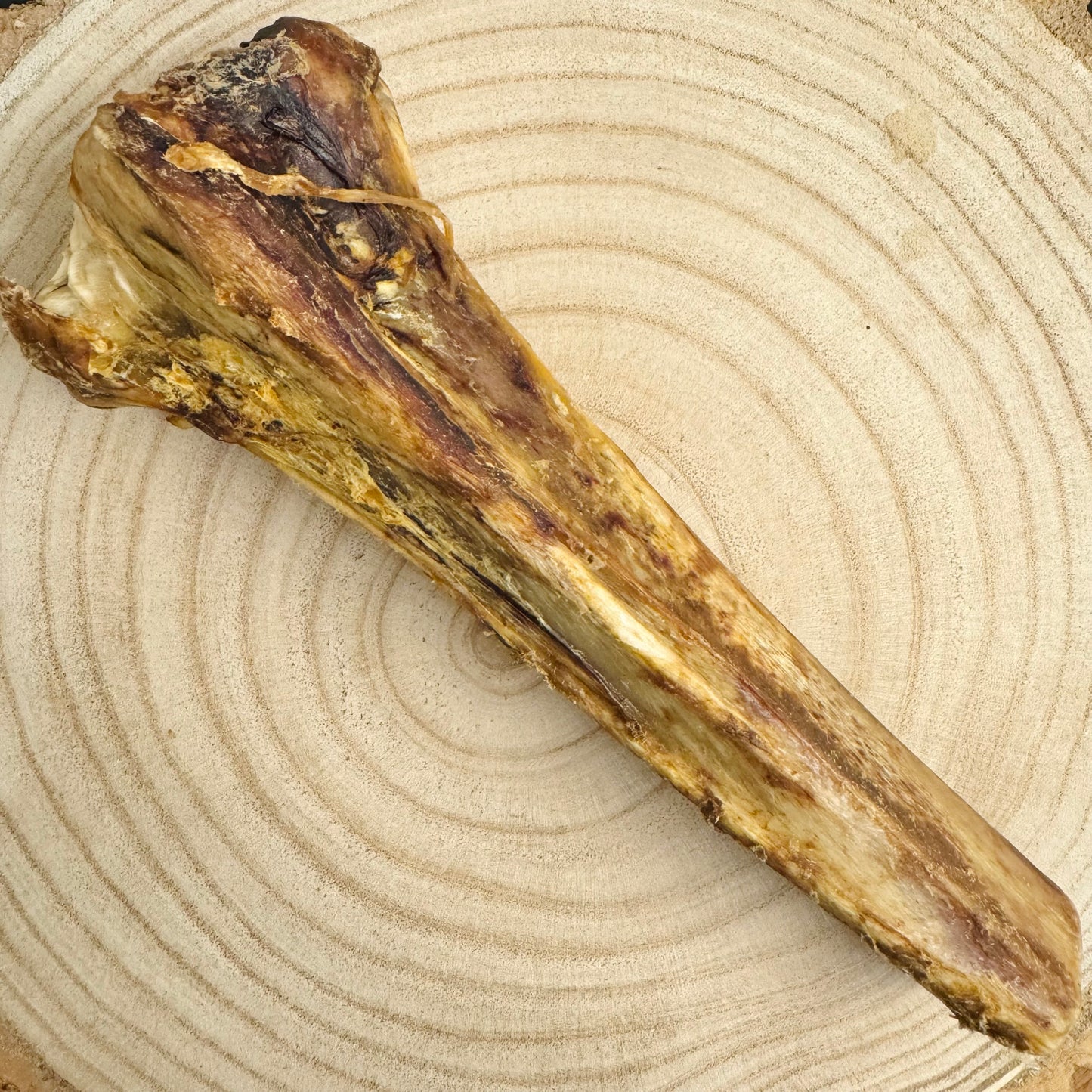 Ostrich Bone