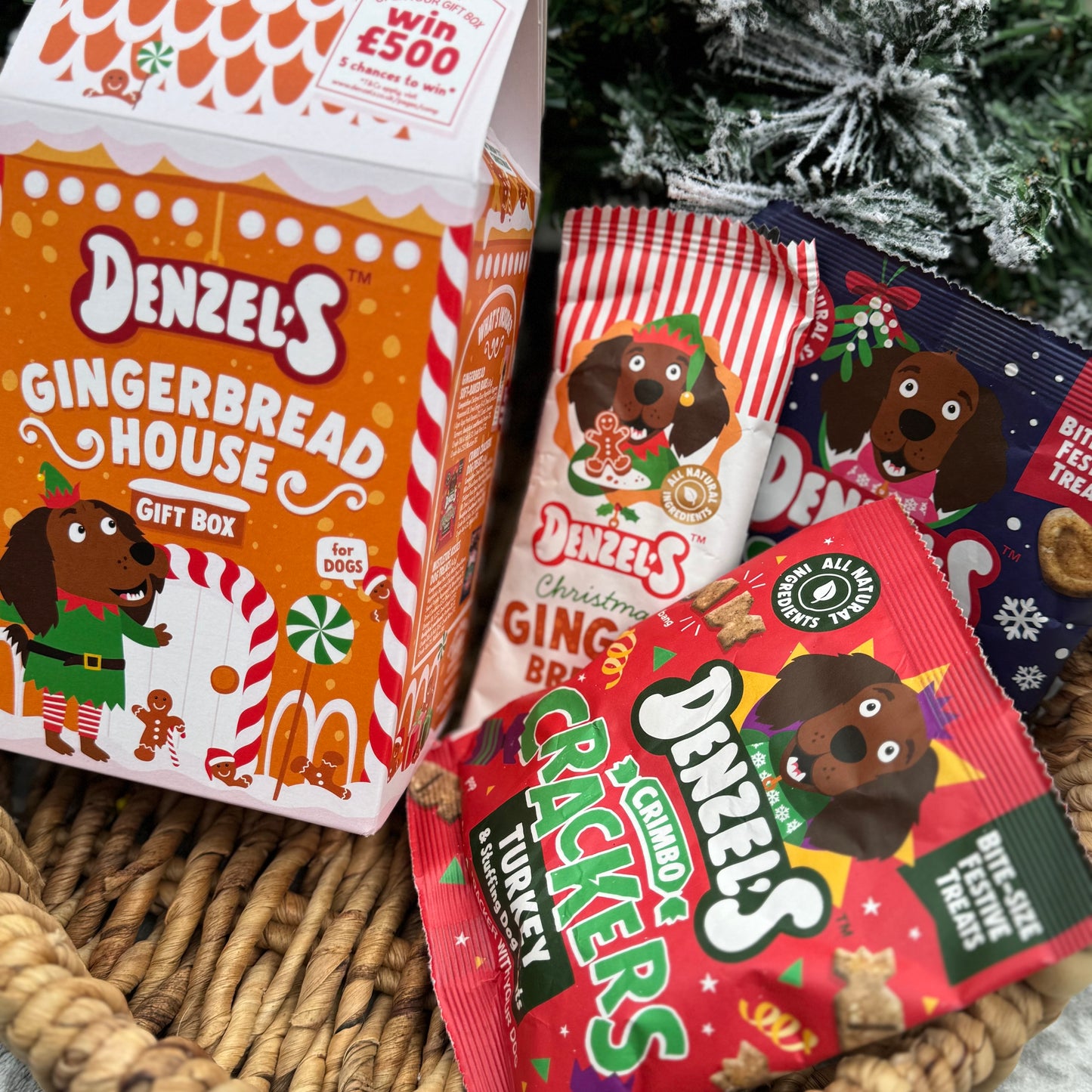 Denzel's | Christmas Gingerbread House Gift Box