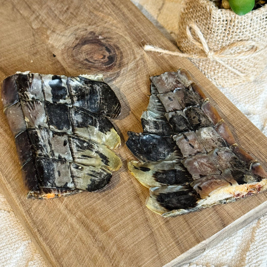 Crocodile Tail Pieces