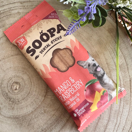 Mango & Raspberry Dental Sticks