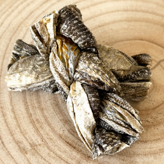 Fish Skin Braids