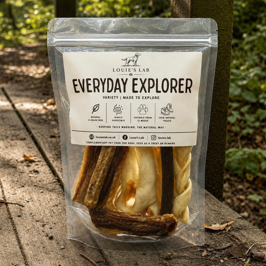 Everyday Explorer | Made To Explore