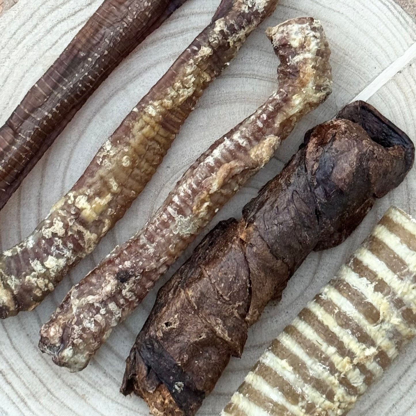[FIVER FRIDAY] The Trachea Trail
