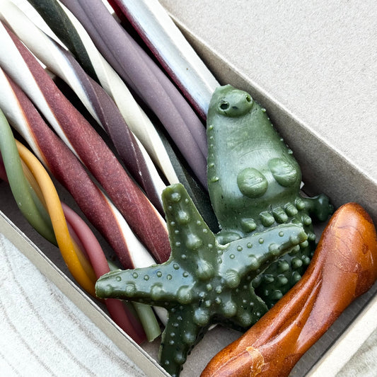 [FIVER FRIDAY] Veggie Variety Snack Box