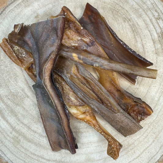 Camel Skin