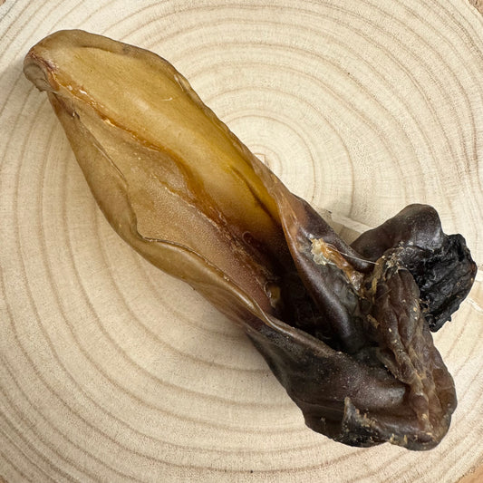 Plain Deer Ears