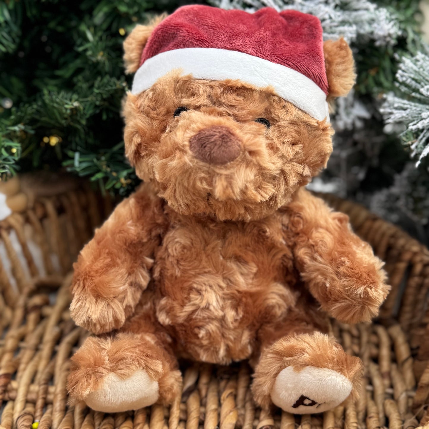 Cassie the Curly Christmas Teddy | Plush Dog Toy