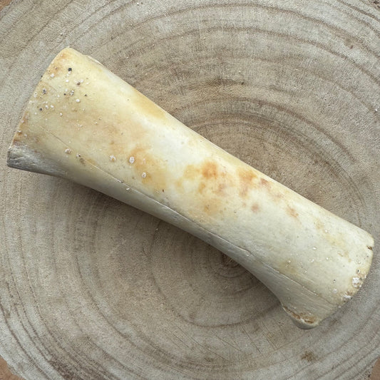 Buffalo Stuffed Bone