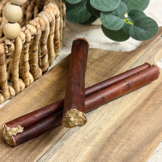 Medium Pizzle Dipped Collagen Cigars