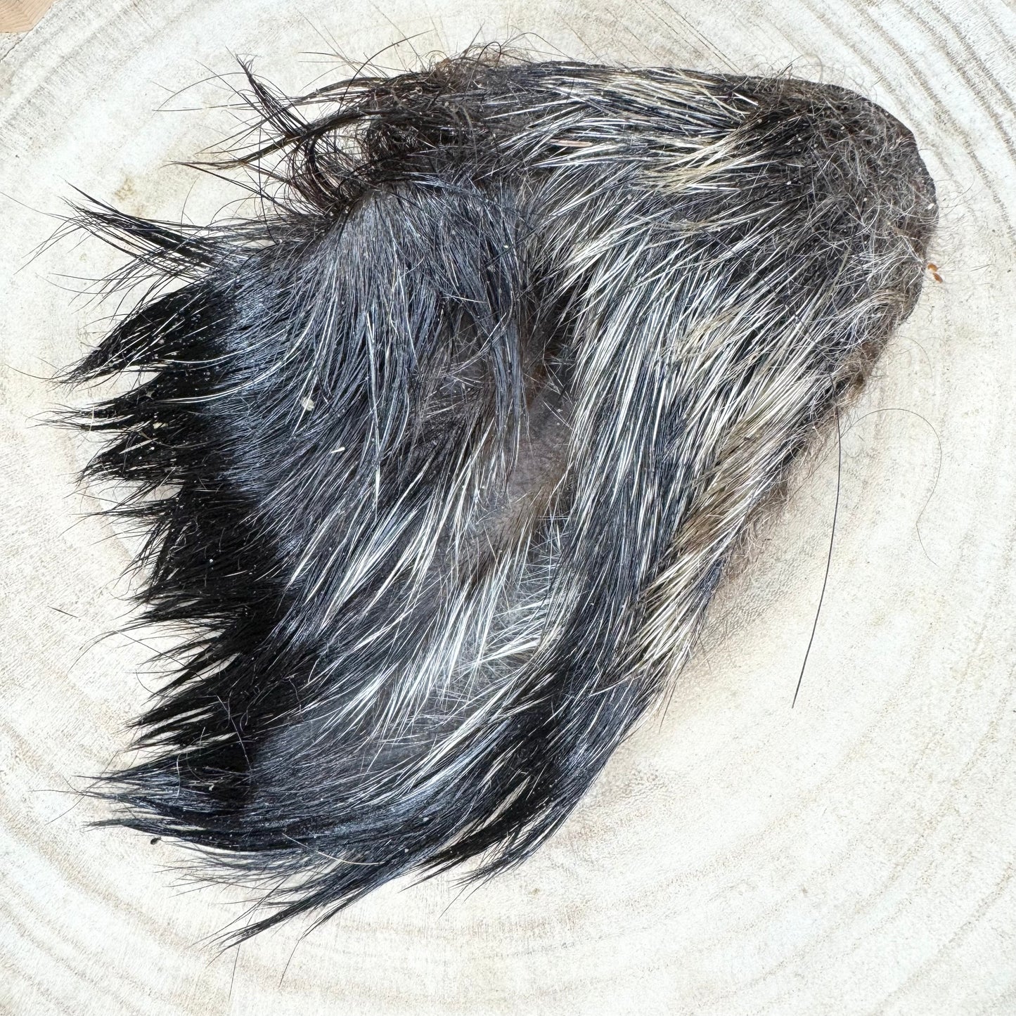 Hairy Wild Boar Ear