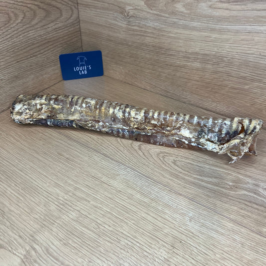 Beef Trachea 40cm