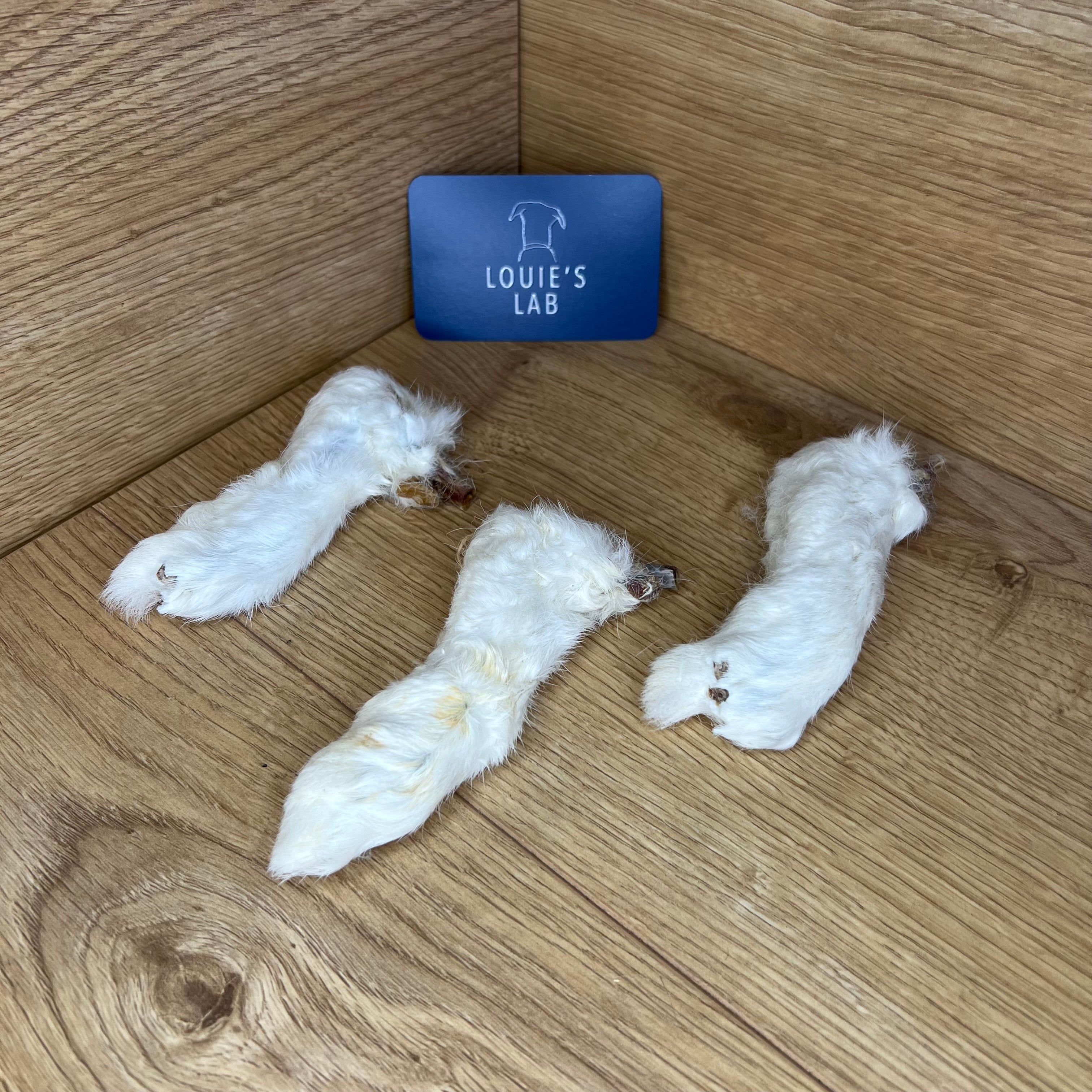 Hairy Rabbit Feet – Louie's Lab