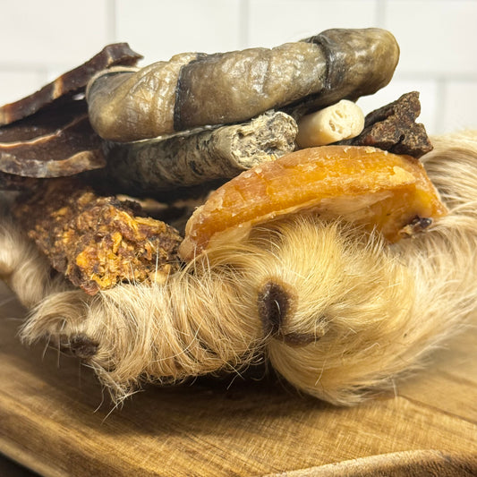 [FIVER FRIDAY] Surf N' Turf