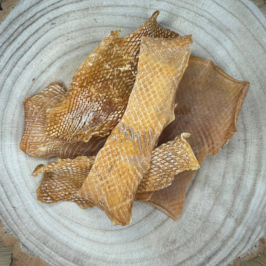 Dried Squid Crisps