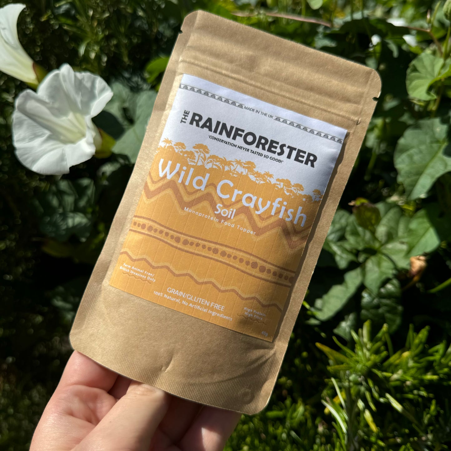 The Rainforester Wild Crayfish Soil 65g