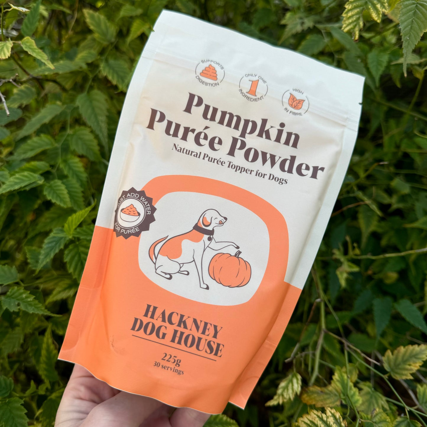 Hackney Dog House | Pumpkin Powder