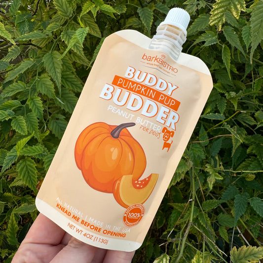 Buddy Budder Peanut Butter 4oz Squeeze Pouch | Pumpkin Pup