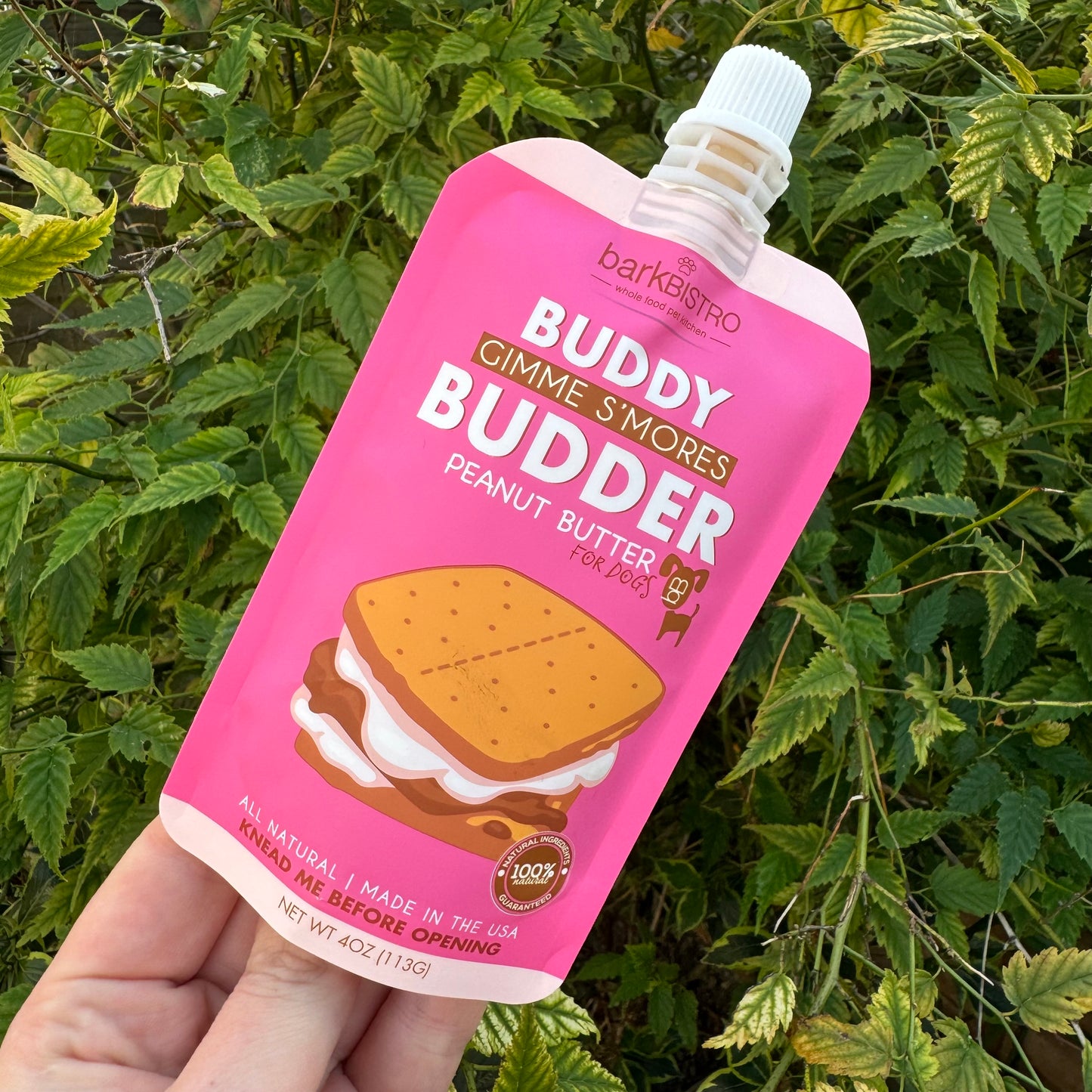 Buddy Budder Peanut Butter 4oz Squeeze Pouch | Gimme S'mores