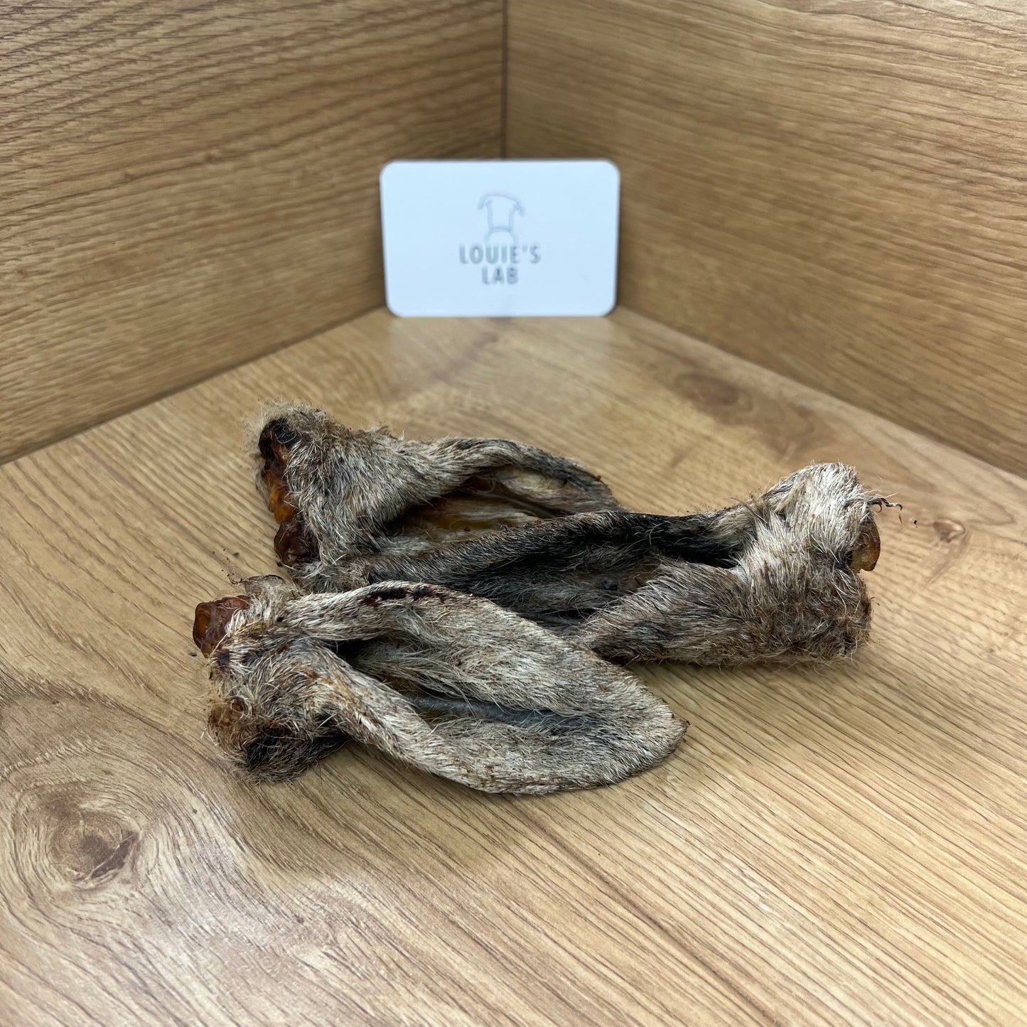 Hairy Lamb Ears